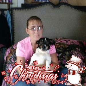 Meet your Posher, Paula